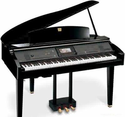 鋼琴 奏響人類文明的華美樂章